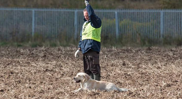 IPO & Fährtenhundesport