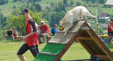 Turnierhundesport